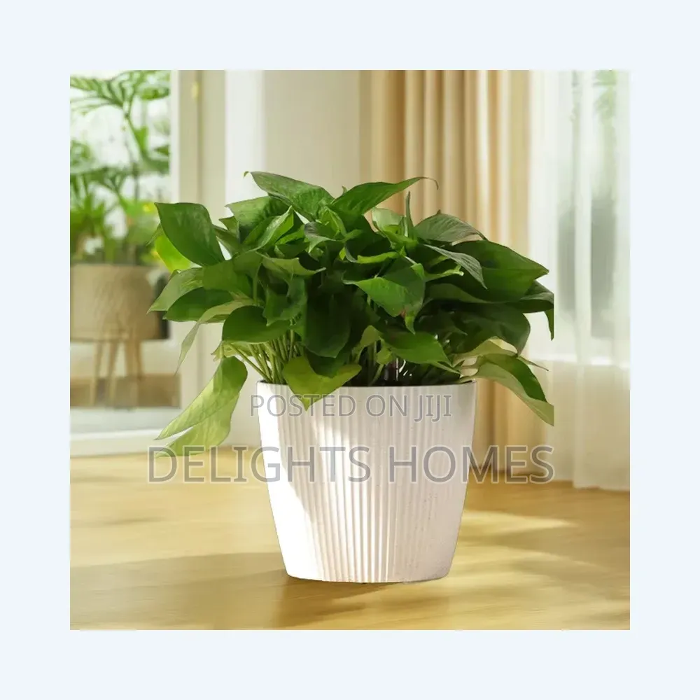 Coral Square Planter