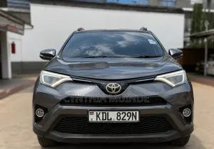 Toyota RAV4 2015