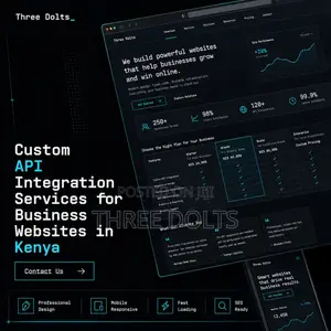 Custom API Integration Services for Business Websites in Kenya