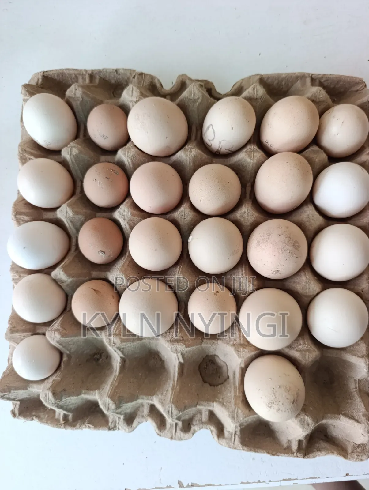 Ornamental Eggs