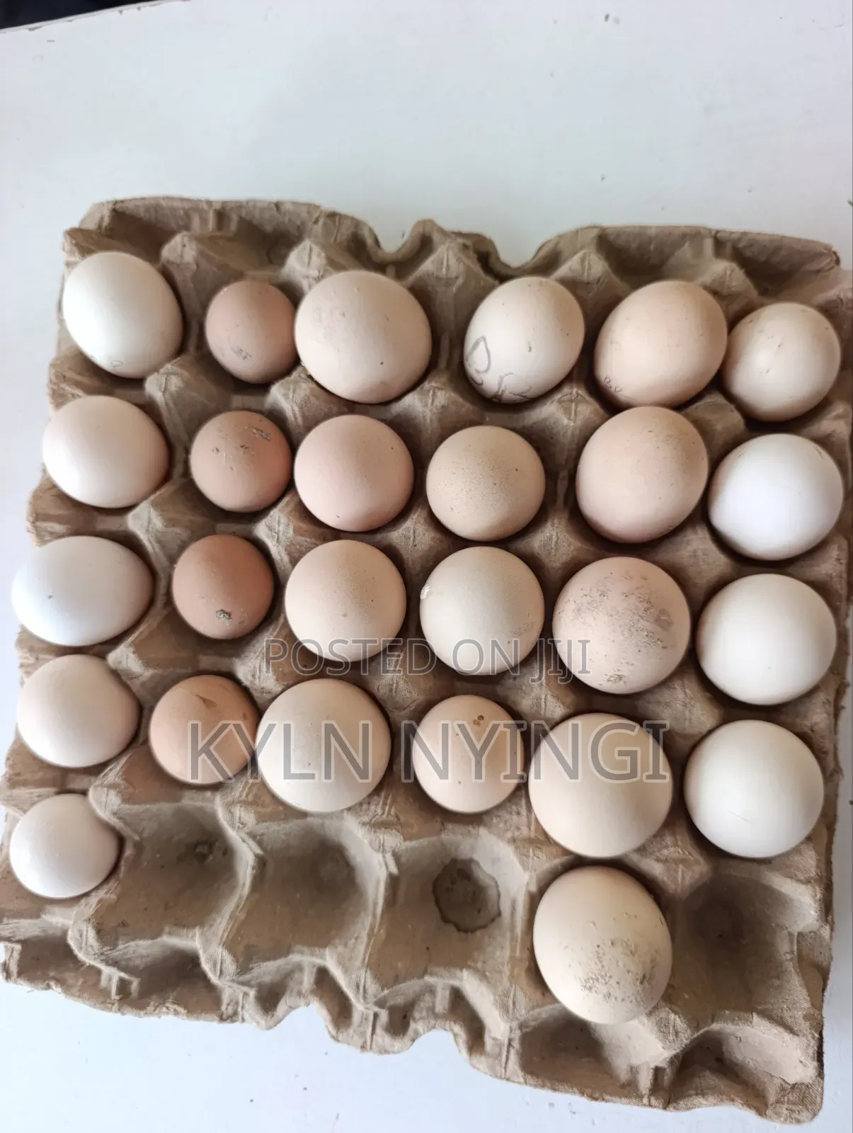 Ornamental Eggs