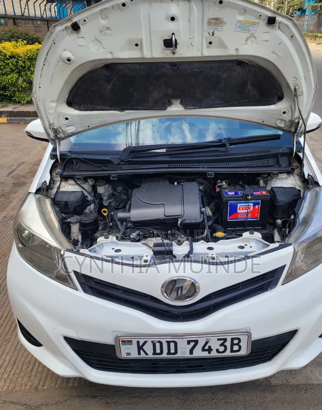 Toyota Vitz 2014 White