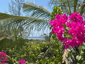4bdrm Villa in Watamu for sale