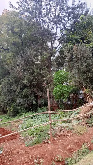 Garden Estate Roosters-Commercal 1/2 Acre for Hightise Apartments