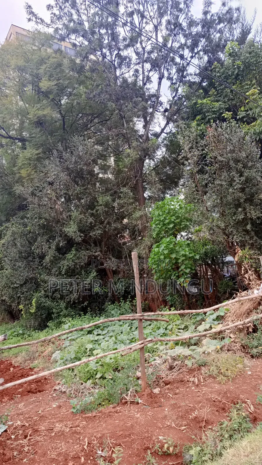 Garden Estate Roosters-Commercal 1/2 Acre for Hightise Apartments