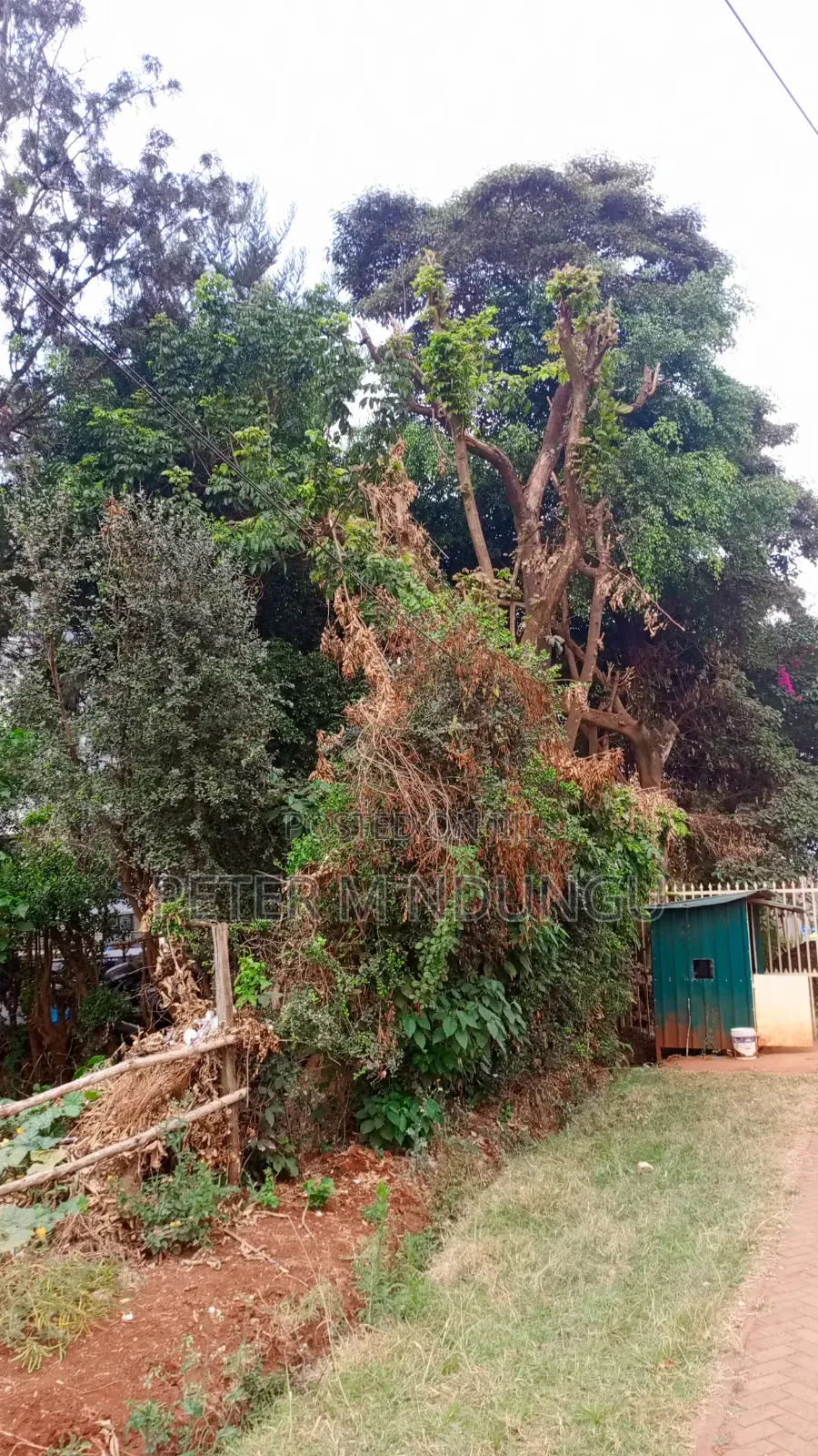 Garden Estate Roosters-Commercal 1/2 Acre for Hightise Apartments
