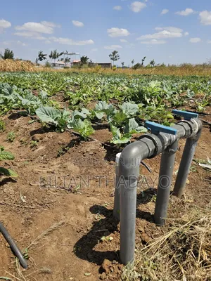 50*100 Farming Plots in Matuu