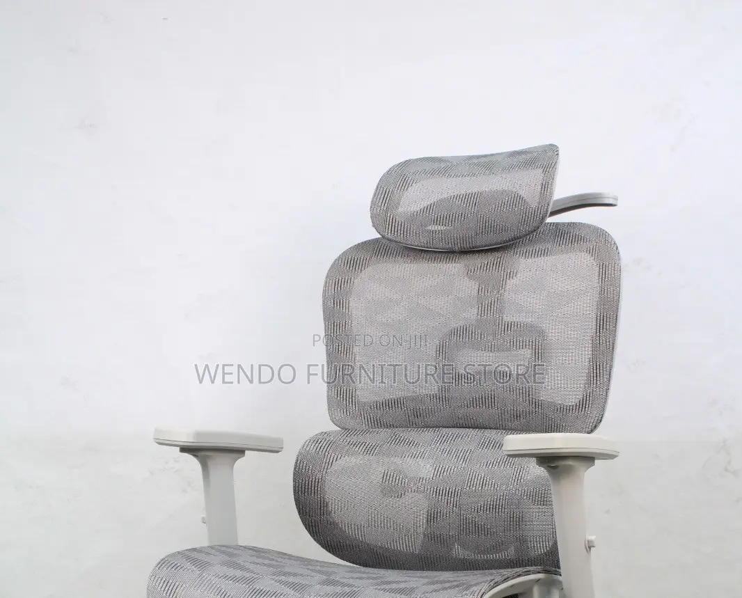 Office Chairs; White Orthopedic Office Chairs With Adjustable Footrest