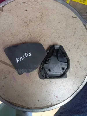 Inner Finisher /Inner Door Cover Ractis New Model