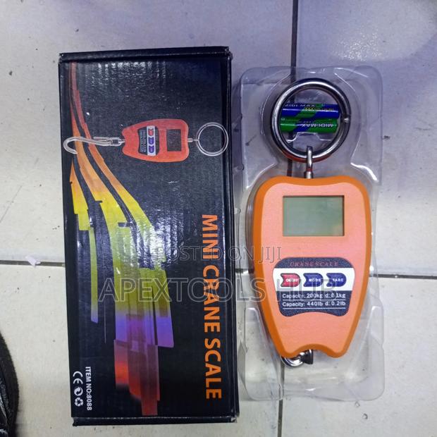 200kg Crane Scale