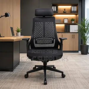Ergonomic Lama Mesh Staff Chair