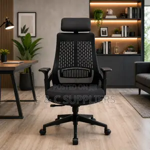 Ergonomic Lama Mesh Staff Chair