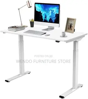 Office Desk; 1.6m Home Office Ergonomic Adjustable Desk With Motor