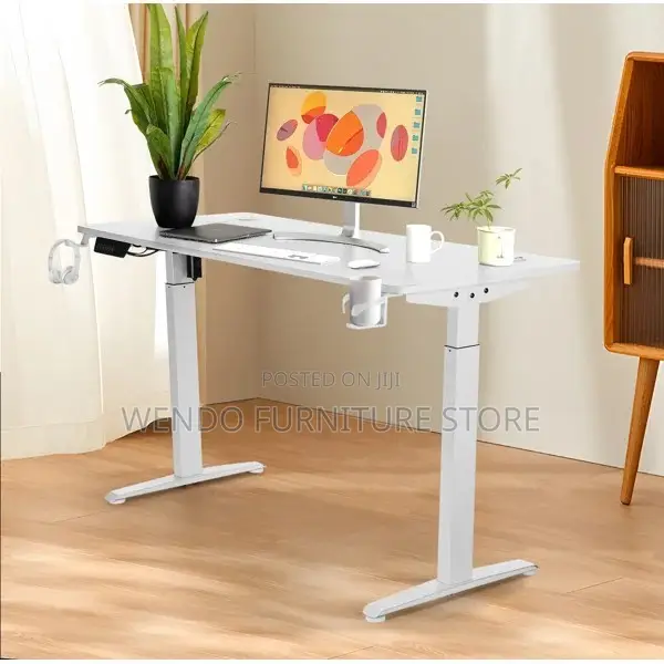 Office Desk; 1.6m Home Office Ergonomic Adjustable Desk With Motor