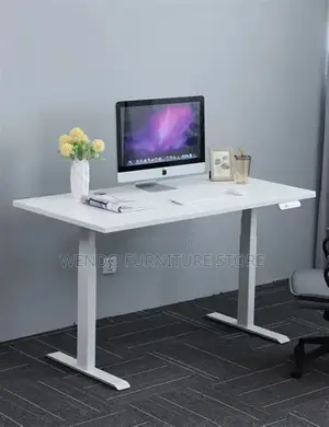 Office Desk; 1.6m Home Office Ergonomic Adjustable Desk With Motor