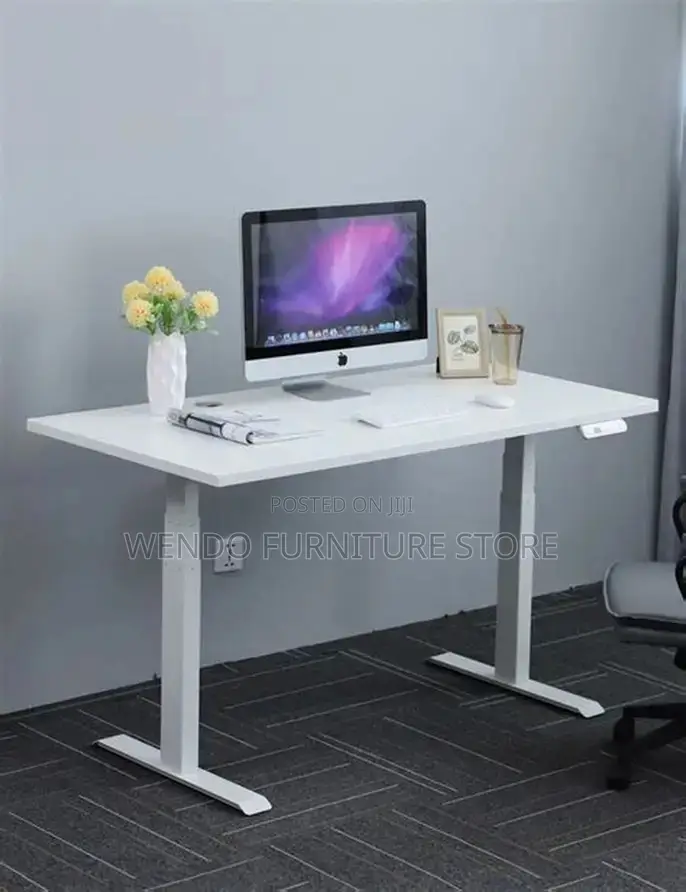 Office Desk; 1.6m Home Office Ergonomic Adjustable Desk With Motor