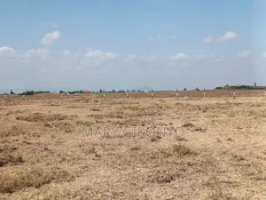 Kitengela KCA Plots