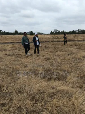 Kitengela KCA Plots