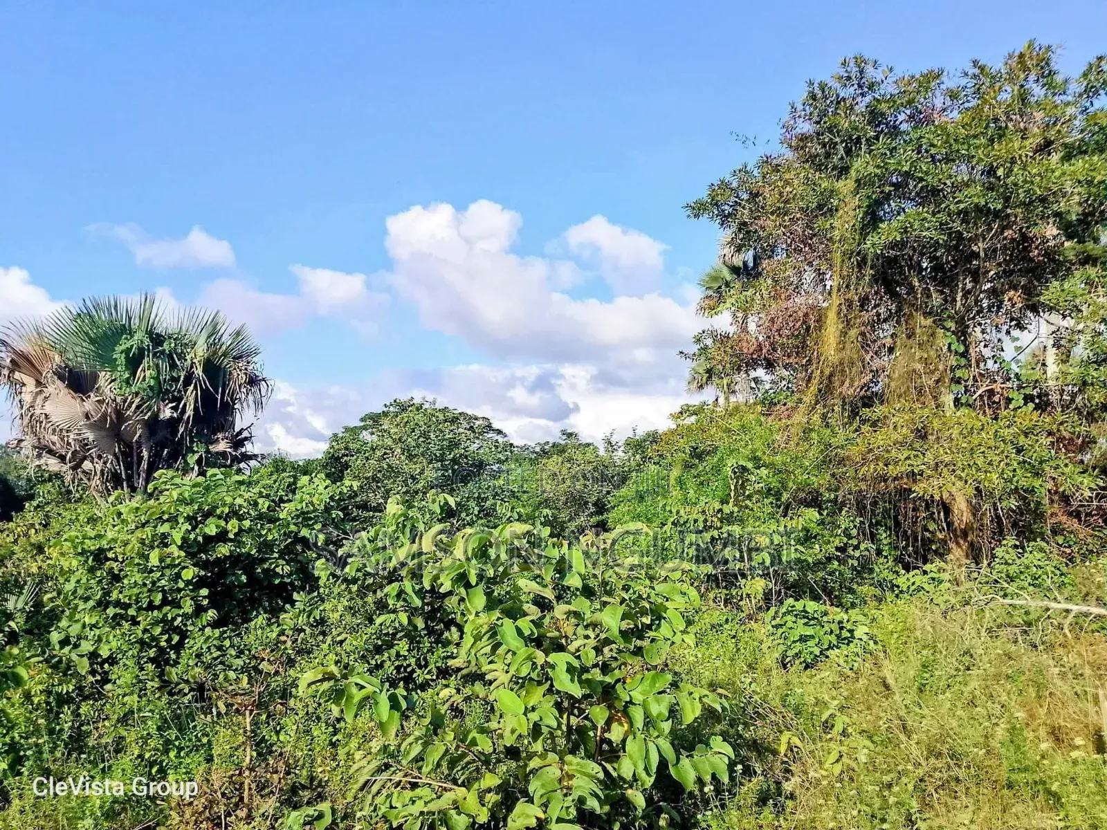 Agricultural Land on Sale