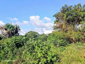 Agricultural Land on Sale