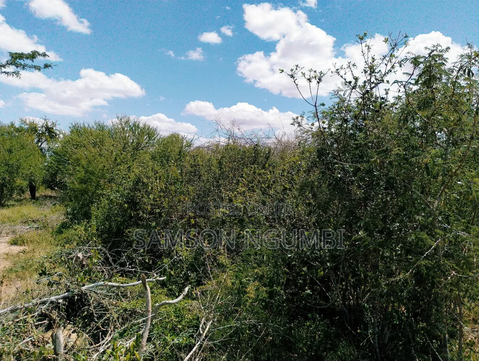 Agricultural Land on Sale