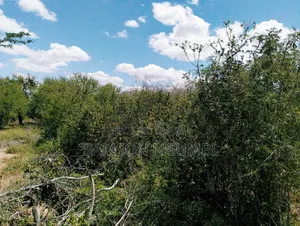 Agricultural Land on Sale