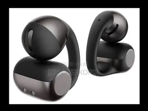 Shokz OpenDots 2 Earbuds