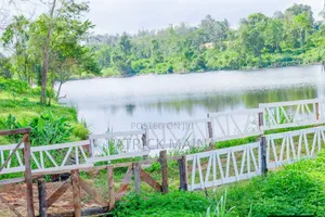 Vantage View Park