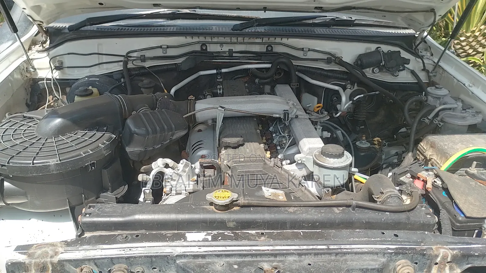 Toyota Land Cruiser 2006 White