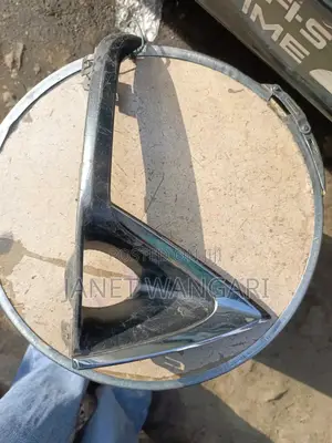 Foglight Covers Chromed Rx350 2019