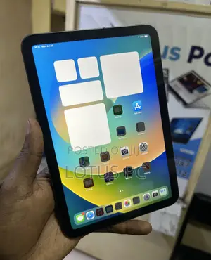 Apple iPad mini 6 256 GB Gray