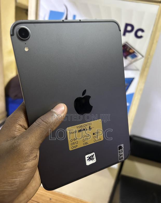 Apple iPad mini 6 256 GB Gray