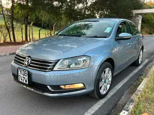 Volkswagen Passat 2013 Blue