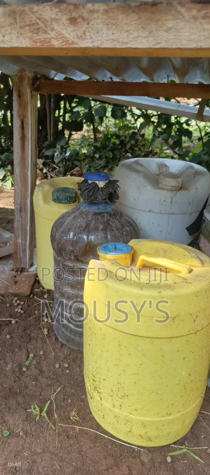 Organic Rabbit Urine Fertilizer