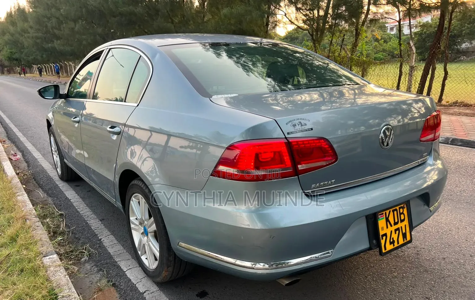 Volkswagen Passat 2013 Blue