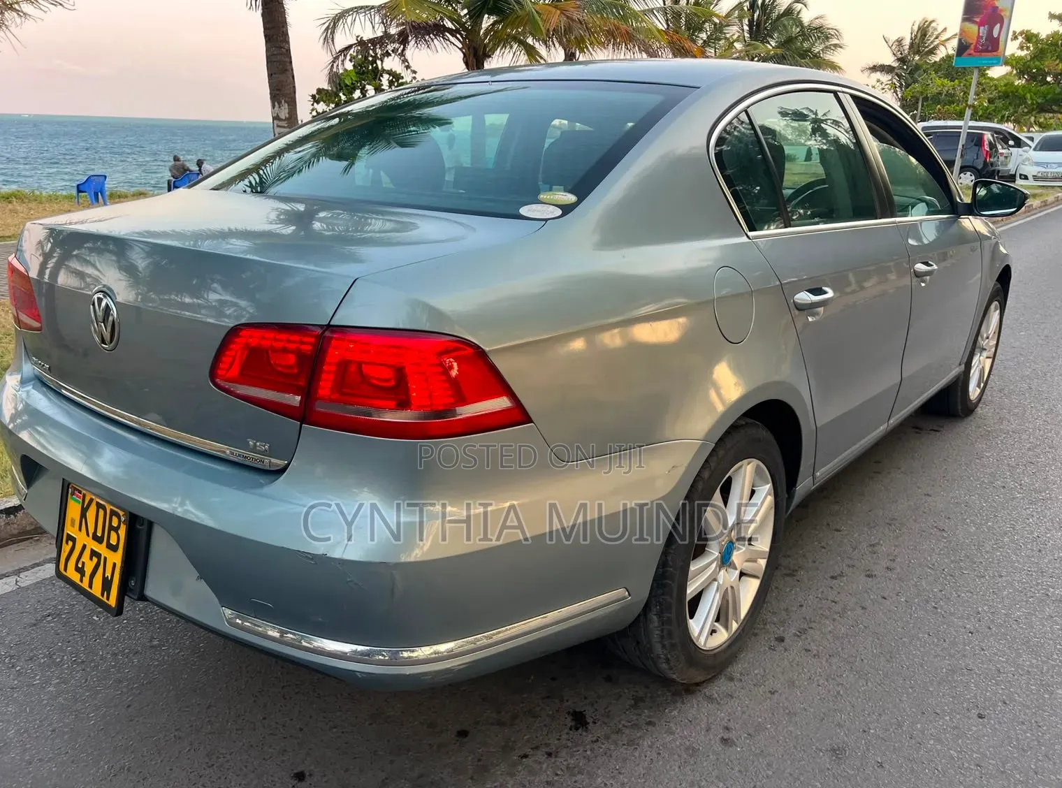 Volkswagen Passat 2013 Blue