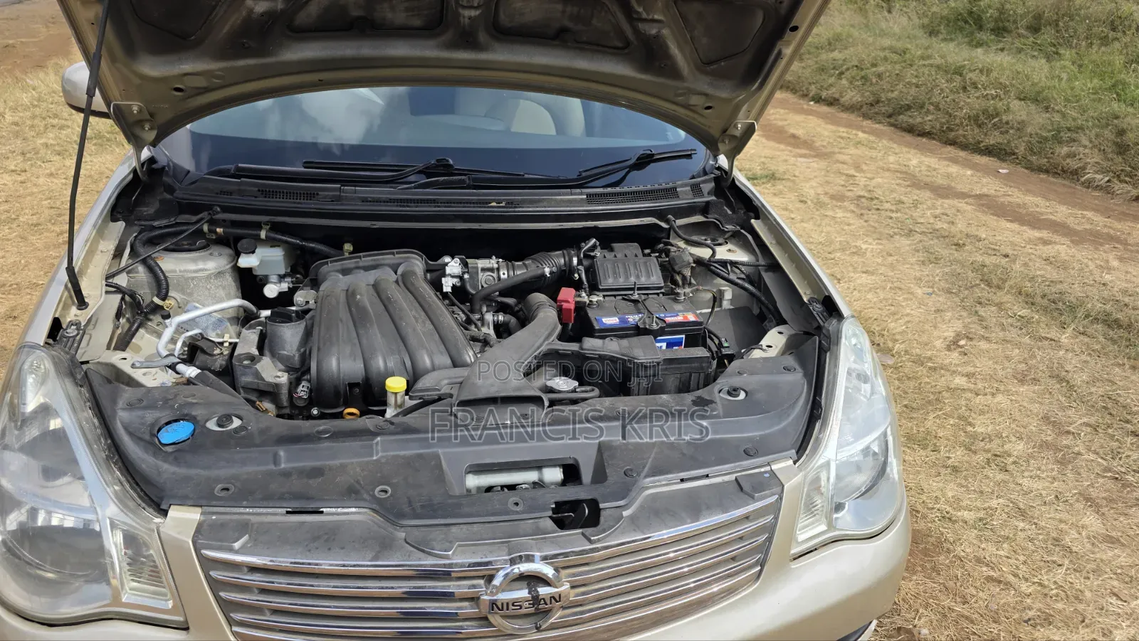 Nissan Bluebird 2008 Beige