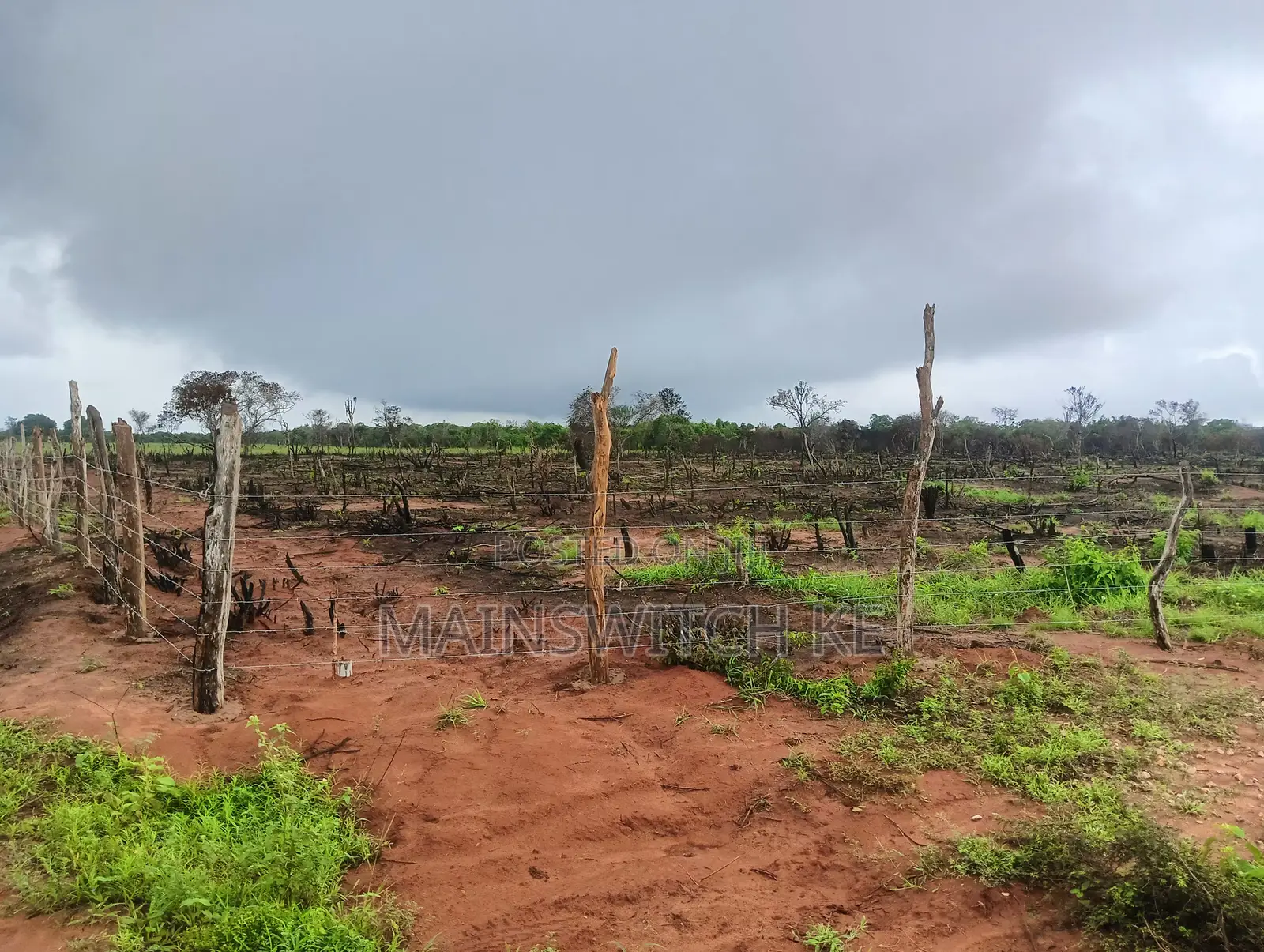 10 Acres for Sale With Numbers Waiting for Tittle Deed