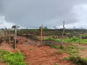 10 Acres for Sale With Numbers Waiting for Tittle Deed