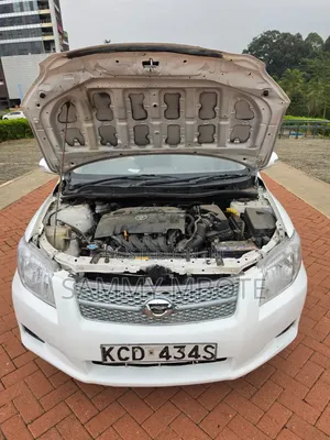 Toyota Corolla Fielder 2008 White