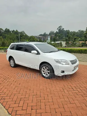 Toyota Corolla Fielder 2008 White