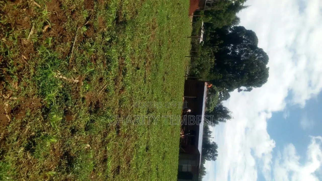 0.294 Acres of Land in Matunda, Moi's Bridge