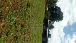 0.294 Acres of Land in Matunda, Moi's Bridge