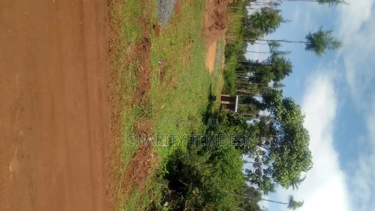0.294 Acres of Land in Matunda, Moi's Bridge