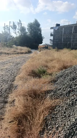 50 by 82 at Kadafu