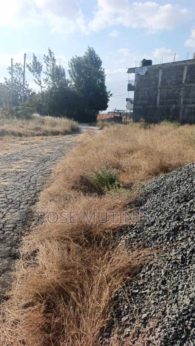 50 by 82 at Kadafu - thumbnail 3