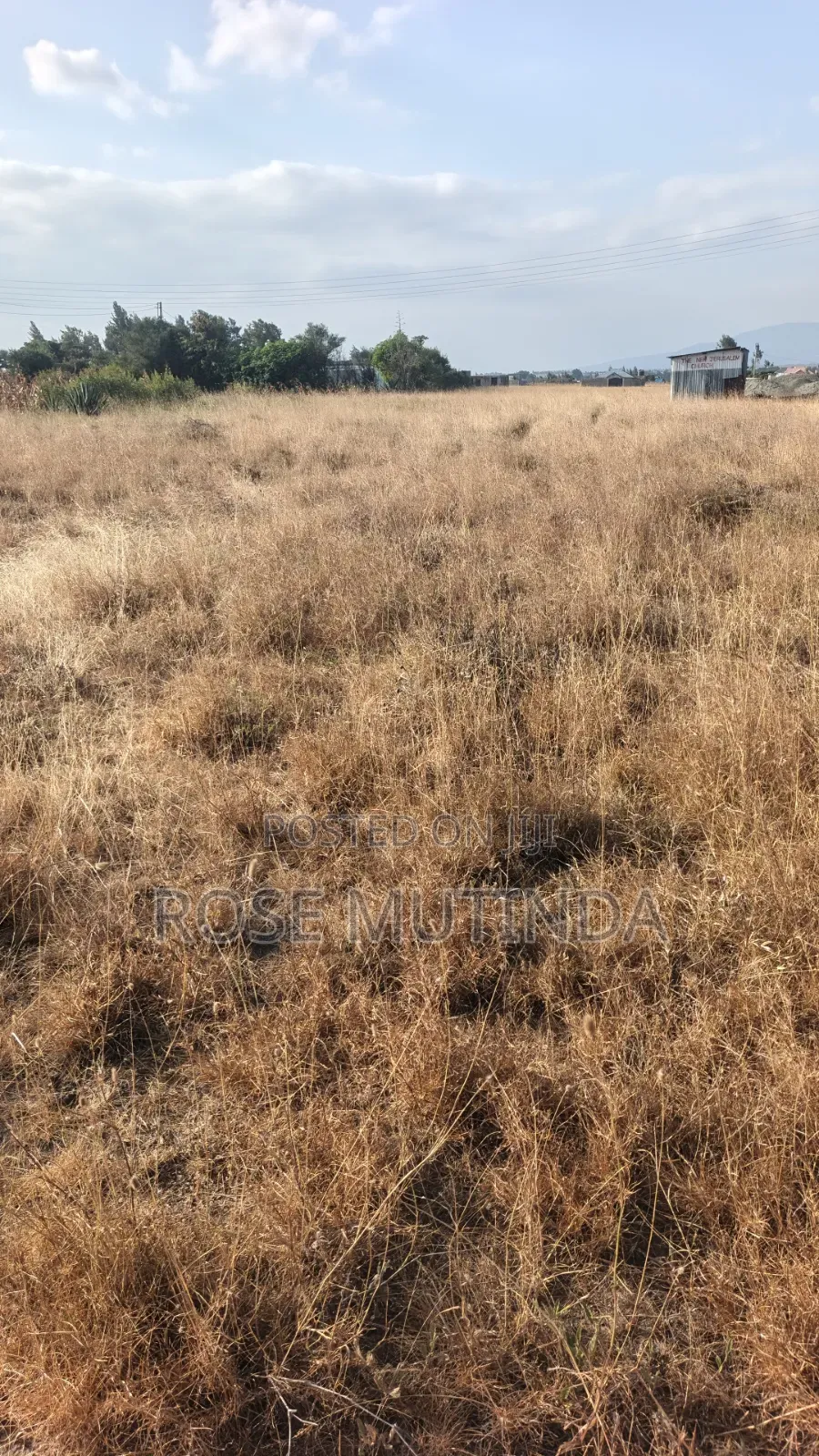 50 by 82 at Kadafu