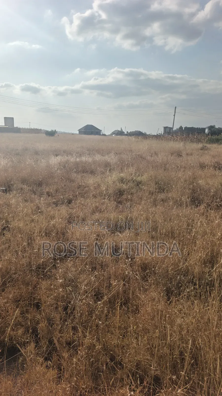 50 by 82 at Kadafu