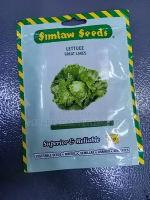Lettuce Great Lakes 25grams