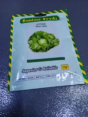 Lettuce Great Lakes 25grams